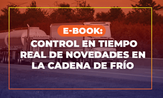 Ebook_Miniatura